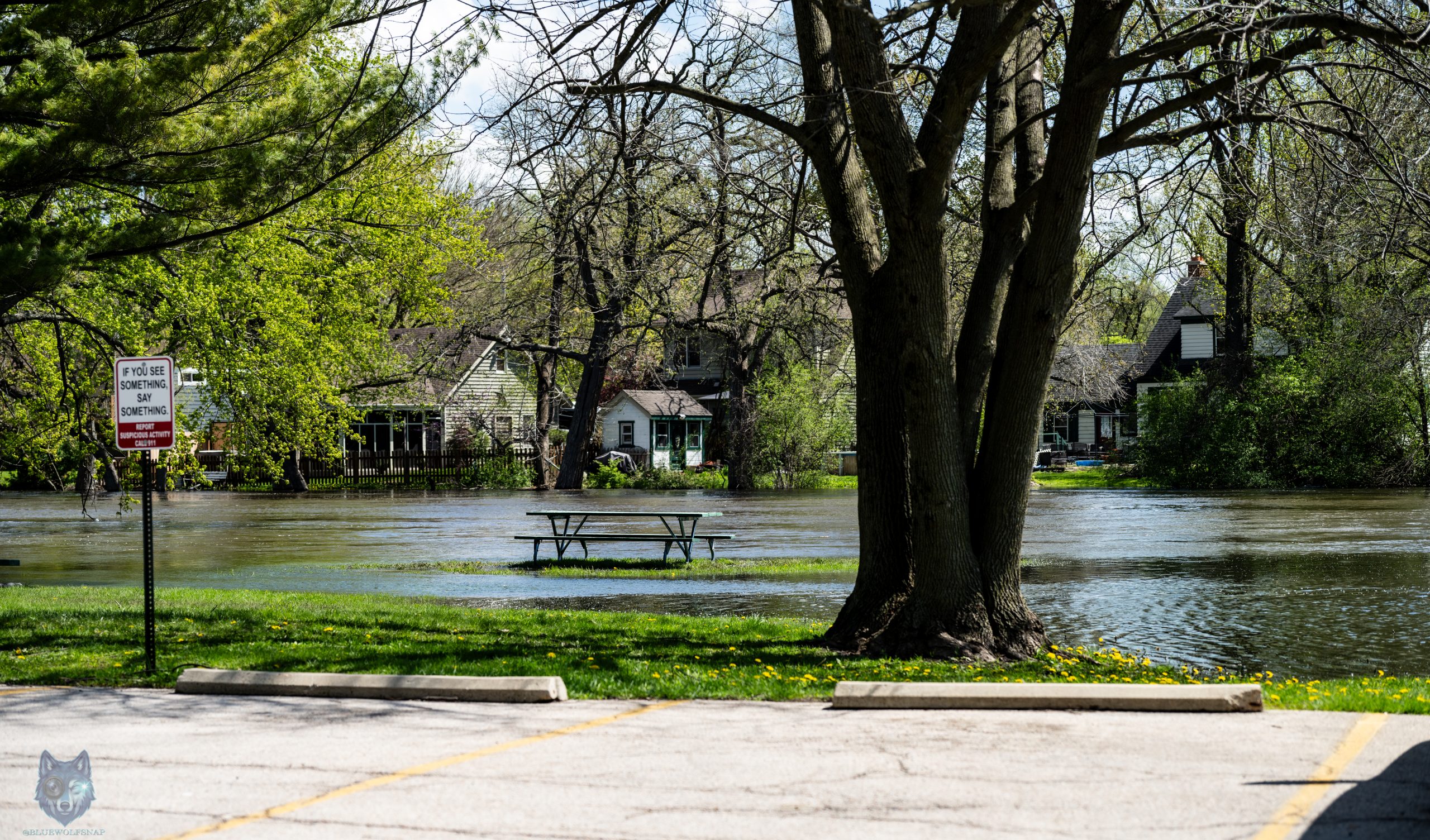 Picnic table submerged in Fox River floodwater at forest preserve, McHenry County Illinois, Blue Wolf Snap